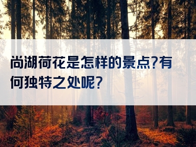 尚湖荷花是怎样的景点？有何独特之处呢？