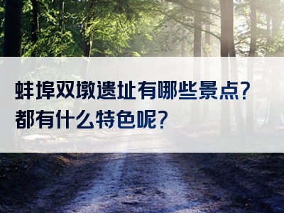 蚌埠双墩遗址有哪些景点？都有什么特色呢？
