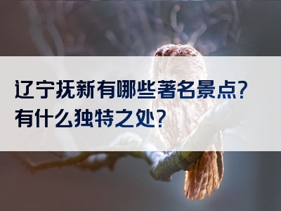 辽宁抚新有哪些著名景点？有什么独特之处？
