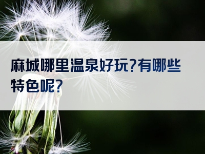 麻城哪里温泉好玩？有哪些特色呢？