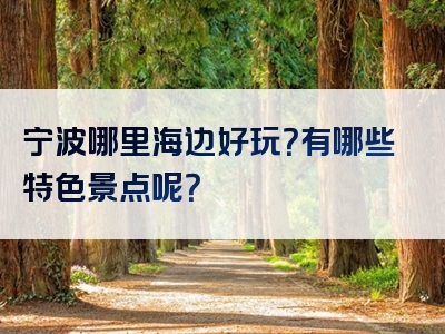 宁波哪里海边好玩？有哪些特色景点呢？