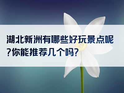 湖北新洲有哪些好玩景点呢？你能推荐几个吗？
