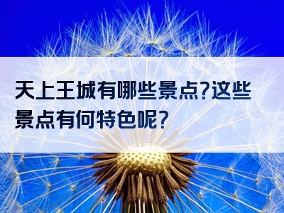 天上王城有哪些景点？这些景点有何特色呢？