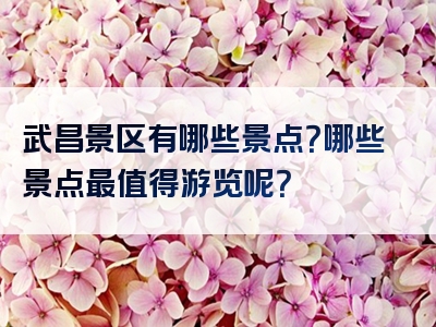 武昌景区有哪些景点？哪些景点最值得游览呢？