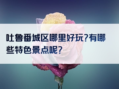 吐鲁番城区哪里好玩？有哪些特色景点呢？
