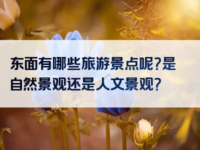 东面有哪些旅游景点呢？是自然景观还是人文景观？