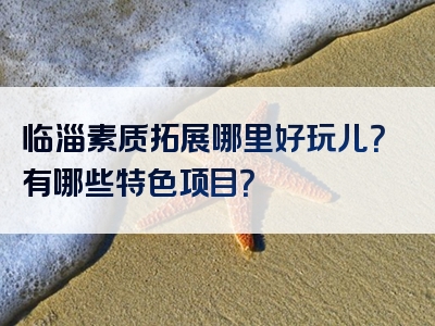 临淄素质拓展哪里好玩儿？有哪些特色项目？