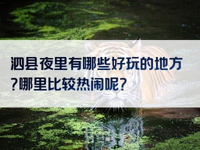 泗县夜里有哪些好玩的地方？哪里比较热闹呢？