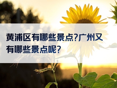 黄浦区有哪些景点？广州又有哪些景点呢？