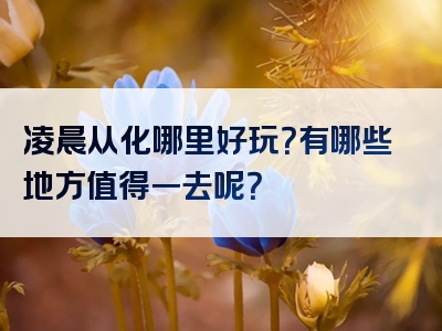 凌晨从化哪里好玩？有哪些地方值得一去呢？