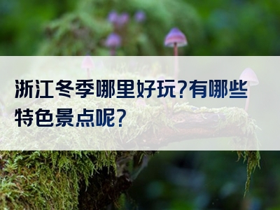 浙江冬季哪里好玩？有哪些特色景点呢？