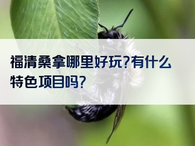 福清桑拿哪里好玩？有什么特色项目吗？