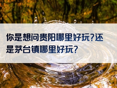 你是想问贵阳哪里好玩？还是茅台镇哪里好玩？
