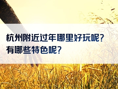 杭州附近过年哪里好玩呢？有哪些特色呢？