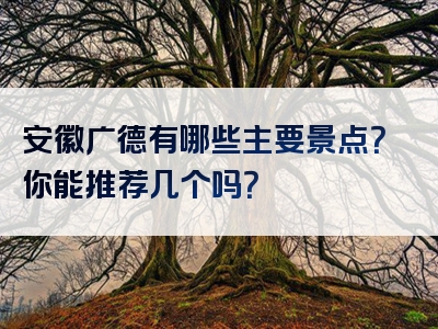 安徽广德有哪些主要景点？你能推荐几个吗？