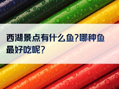 西湖景点有什么鱼？哪种鱼最好吃呢？
