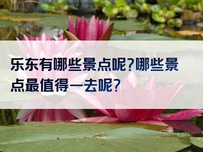 乐东有哪些景点呢？哪些景点最值得一去呢？