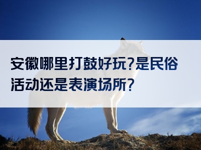 安徽哪里打鼓好玩？是民俗活动还是表演场所？