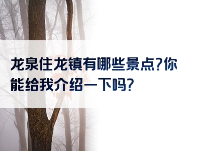 龙泉住龙镇有哪些景点？你能给我介绍一下吗？