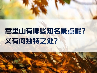 蒿里山有哪些知名景点呢？又有何独特之处？