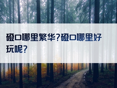 磴口哪里繁华？磴口哪里好玩呢？