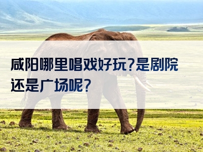 咸阳哪里唱戏好玩？是剧院还是广场呢？
