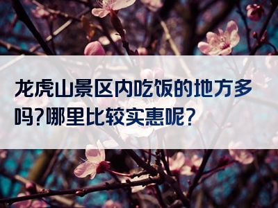 龙虎山景区内吃饭的地方多吗？哪里比较实惠呢？