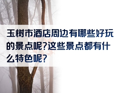 玉树市酒店周边有哪些好玩的景点呢？这些景点都有什么特色呢？