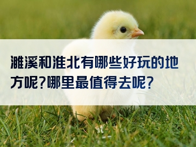 濉溪和淮北有哪些好玩的地方呢？哪里最值得去呢？