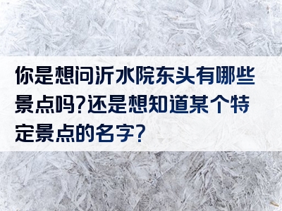 你是想问沂水院东头有哪些景点吗？还是想知道某个特定景点的名字？
