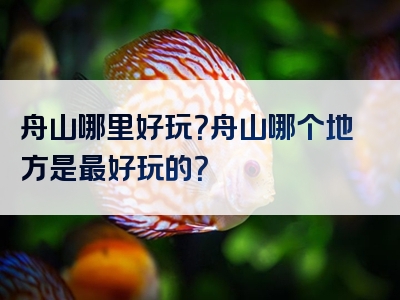 舟山哪里好玩？舟山哪个地方是最好玩的？