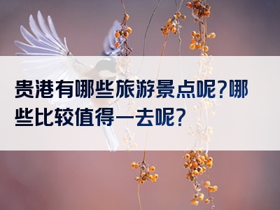 贵港有哪些旅游景点呢？哪些比较值得一去呢？