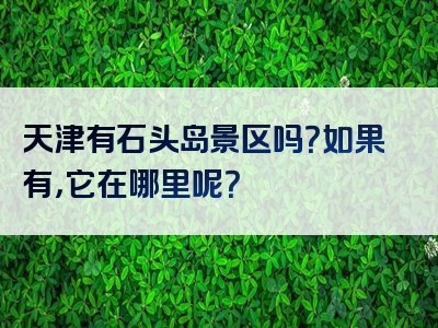 天津有石头岛景区吗？如果有，它在哪里呢？