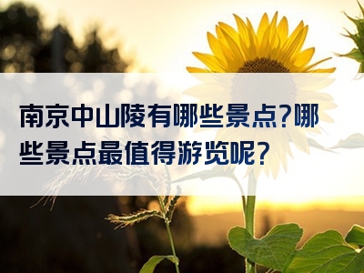 南京中山陵有哪些景点？哪些景点最值得游览呢？