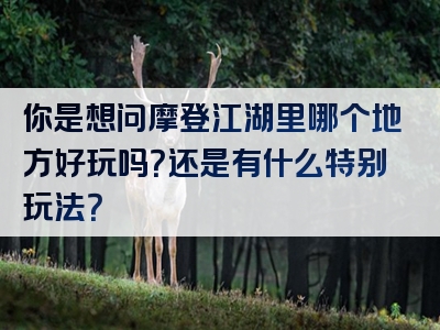你是想问摩登江湖里哪个地方好玩吗？还是有什么特别玩法？