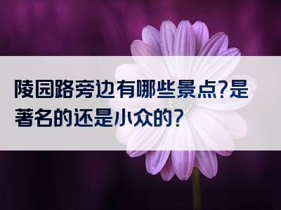 陵园路旁边有哪些景点？是著名的还是小众的？