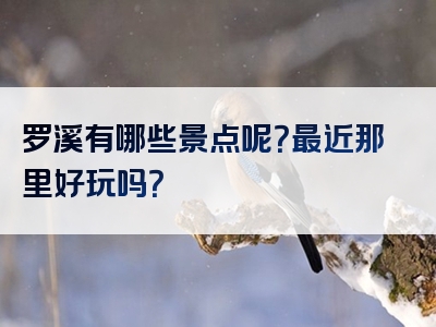 罗溪有哪些景点呢？最近那里好玩吗？