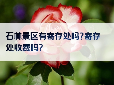 石林景区有寄存处吗？寄存处收费吗？