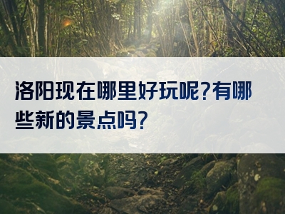 洛阳现在哪里好玩呢？有哪些新的景点吗？