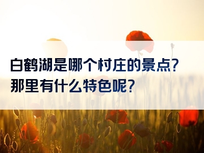 白鹤湖是哪个村庄的景点？那里有什么特色呢？