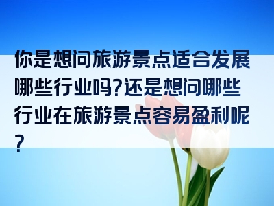 你是想问旅游景点适合发展哪些行业吗？还是想问哪些行业在旅游景点容易盈利呢？