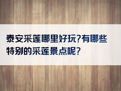 泰安采莲哪里好玩？有哪些特别的采莲景点呢？