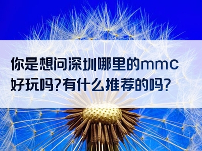 你是想问深圳哪里的mmc好玩吗？有什么推荐的吗？