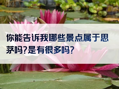 你能告诉我哪些景点属于思茅吗？是有很多吗？