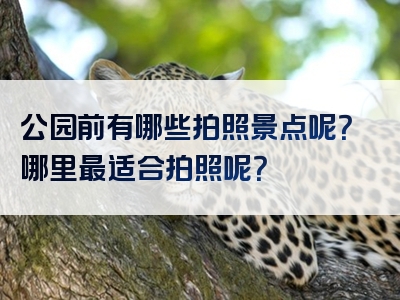 公园前有哪些拍照景点呢？哪里最适合拍照呢？