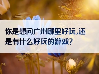 你是想问广州哪里好玩，还是有什么好玩的游戏？