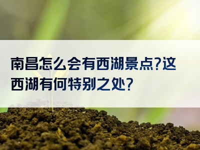 南昌怎么会有西湖景点？这西湖有何特别之处？