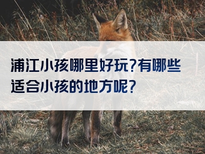 浦江小孩哪里好玩？有哪些适合小孩的地方呢？