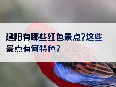 建阳有哪些红色景点？这些景点有何特色？