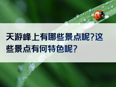 天游峰上有哪些景点呢？这些景点有何特色呢？